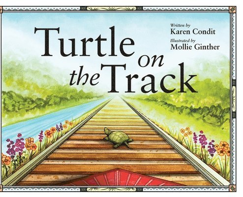 Turtle on the Track