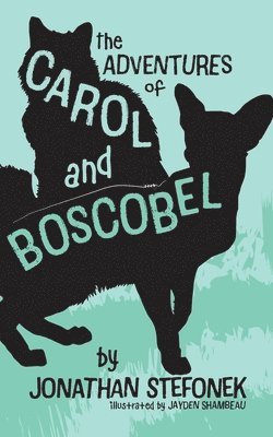 Jonathan Stefonek - Adventures of Carol and Boscobel, Häftad
