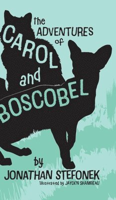 bokomslag The Adventures of Carol and Boscobel