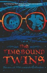 bokomslag The Timebound Twins