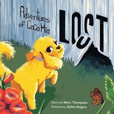 Mary Thompson - Adventures of Coco Mia-Lost, Häftad