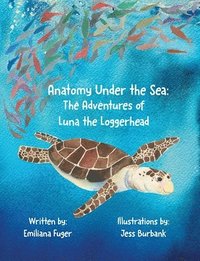 bokomslag Anatomy Under the Sea