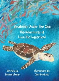 bokomslag Anatomy Under the Sea