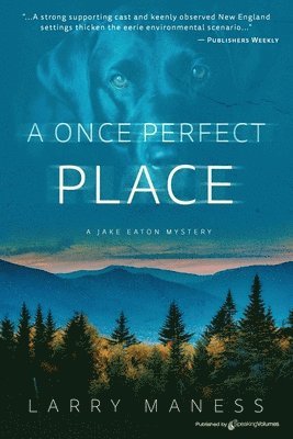 A Once Perfect Place 1