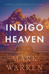 bokomslag Indigo Heaven