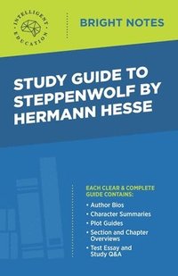 bokomslag Study Guide to Steppenwolf by Hermann Hesse