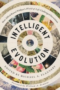 bokomslag Intelligent Evolution