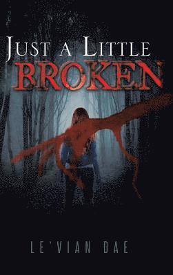 Just a Little Broken 1