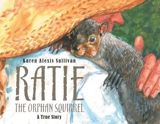 Ratie the Orphan Squirrel 1