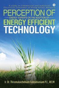 bokomslag Perception of Energy Experts on the Adoption of Energy Efficient Technology