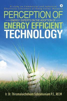 bokomslag Perception of Energy Experts on the Adoption of Energy Efficient Technology