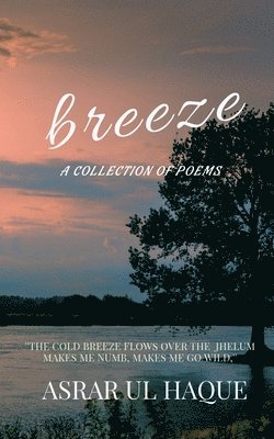 Breeze 1