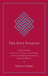bokomslag Sole Panacea