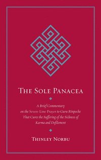 bokomslag The Sole Panacea