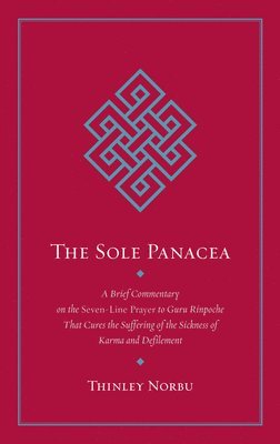 bokomslag The Sole Panacea
