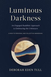 bokomslag Luminous Darkness