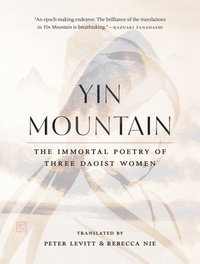bokomslag Yin Mountain