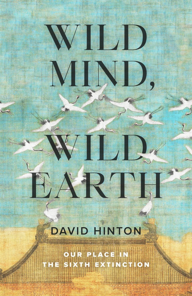 David Hinton - Wild Mind, Wild Earth, Häftad