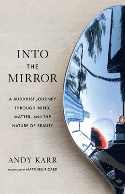 Into the Mirror 1
