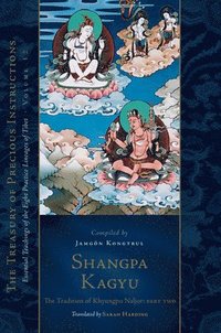 bokomslag Shangpa Kagyu: The Tradition of Khyungpo Naljor, Part Two