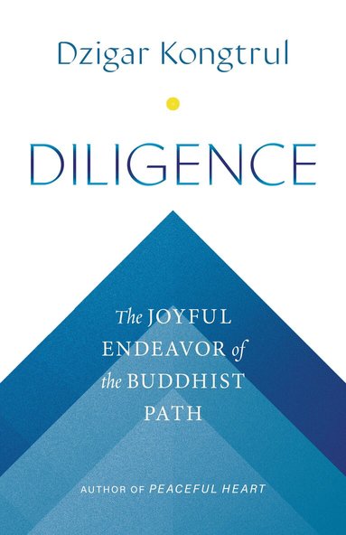 Dzigar Kongtrul, Jennifer Shippee, Jennifer Shippee - Diligence, Häftad