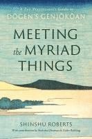 Meeting the Myriad Things