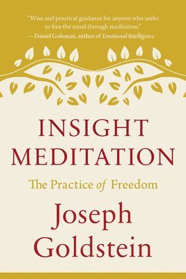 bokomslag Insight Meditation