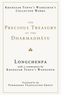 bokomslag The Precious Treasury of the Dharmadhatu
