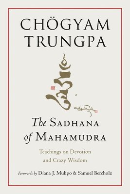 bokomslag Sadhana of Mahamudra