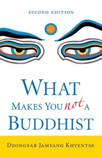 bokomslag What Makes You Not a Buddhist