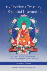 bokomslag The Precious Treasury of Essential Instructions: Explanations on the Treasury of Essential Instructions of Gyalwa Longchen Rabjam