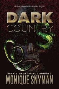 bokomslag Dark Country
