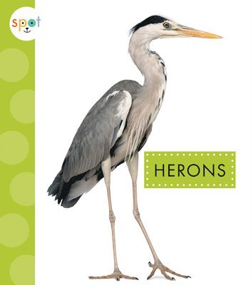 bokomslag Herons