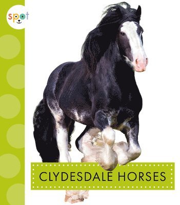 Clydesdale Horses 1