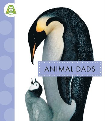 bokomslag Animal Dads