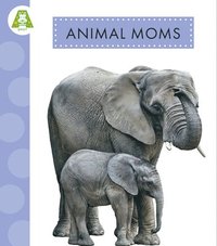 bokomslag Animal Moms