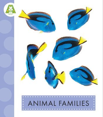 Animal Families 1