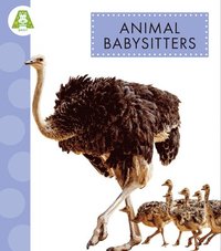 bokomslag Animal Babysitters