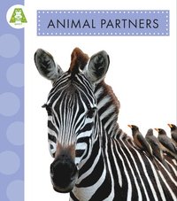 bokomslag Animal Partners