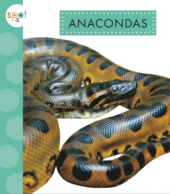 Anacondas 1
