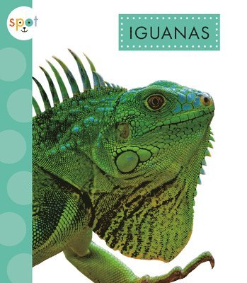 bokomslag Iguanas