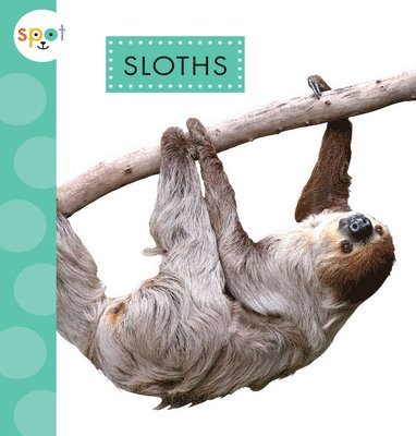 bokomslag Sloths