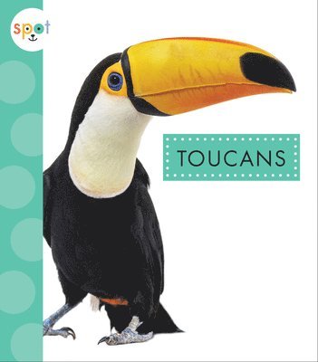 bokomslag Toucans