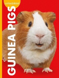 bokomslag Curious about Guinea Pigs
