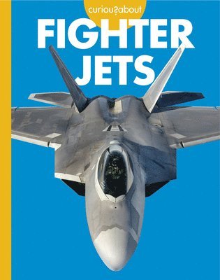 Curious about Fighter Jets 1