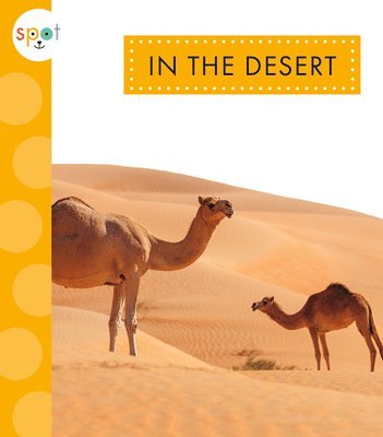 In the Desert 1