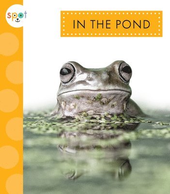 bokomslag In the Pond