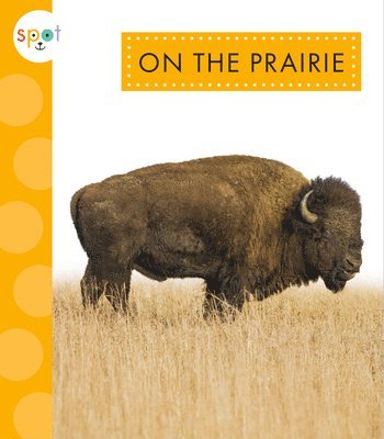 On the Prairie 1