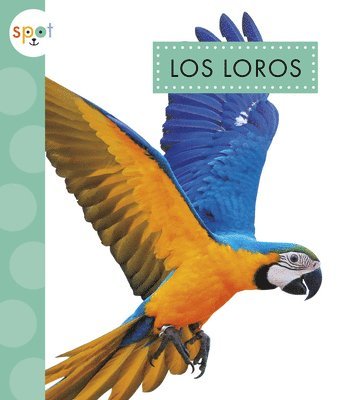 Los Loros 1