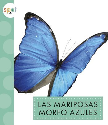 bokomslag Las Mariposas Morfo Azules